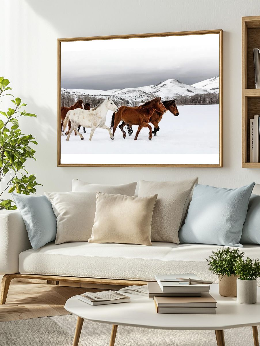 mixed herd wild domesticated horses. — room view 2
