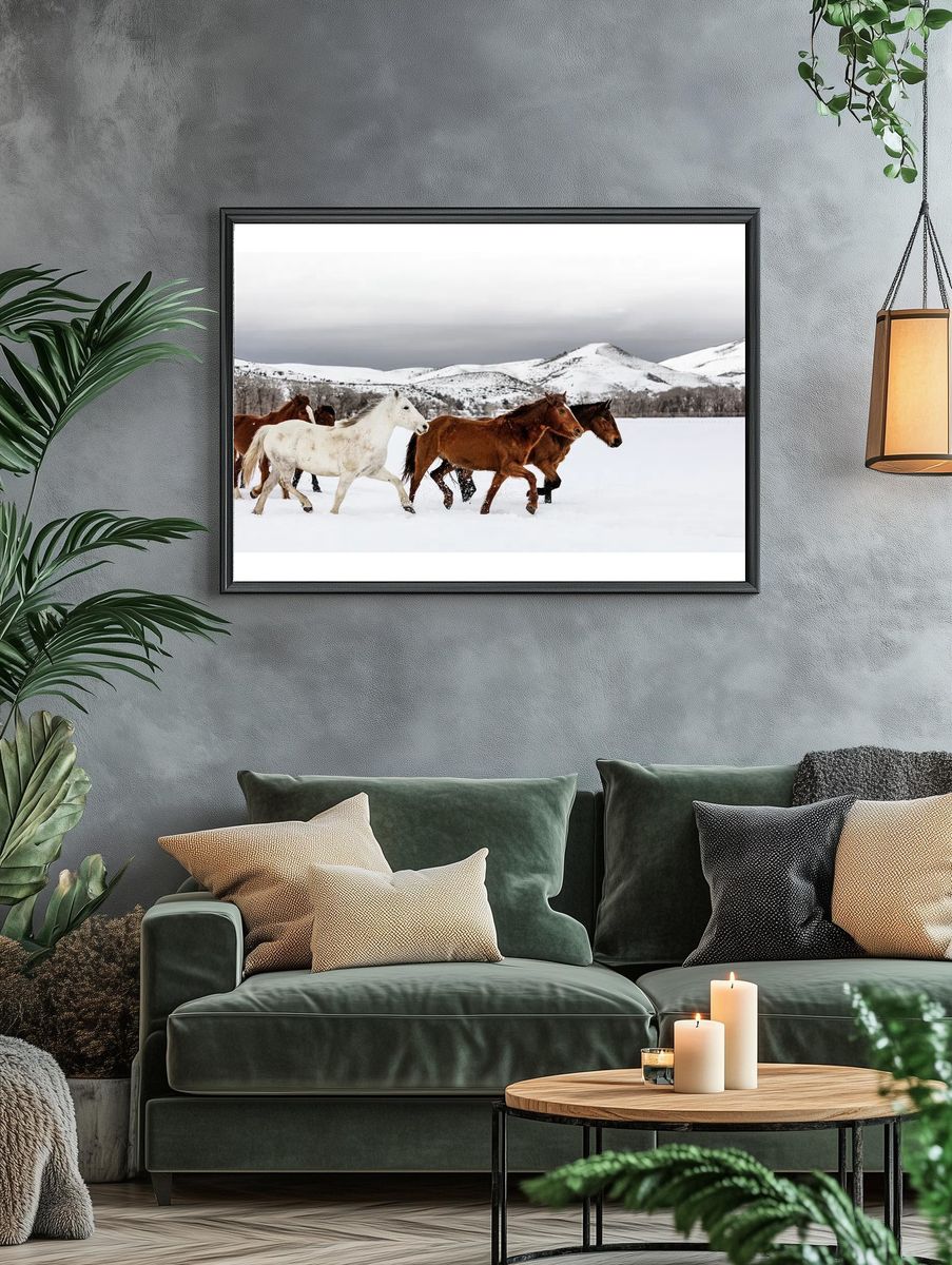 mixed herd wild domesticated horses. — room view 4