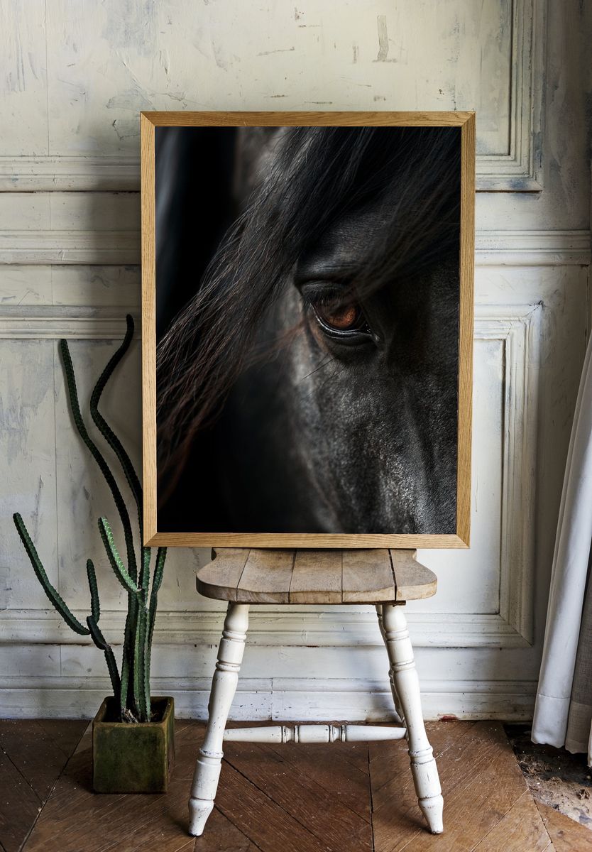 Black Horse Portrait Print. — room view 1