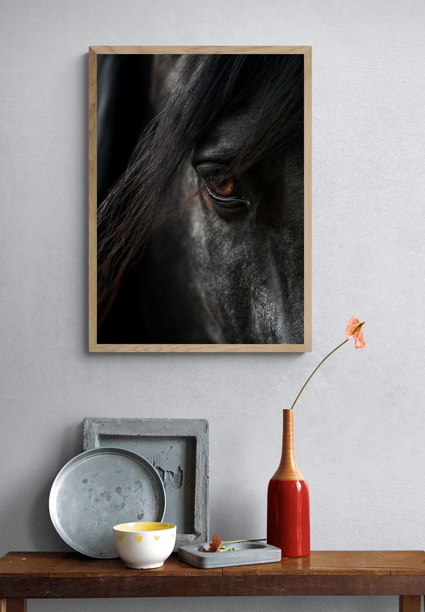 Black Horse Portrait Print. — room view 3