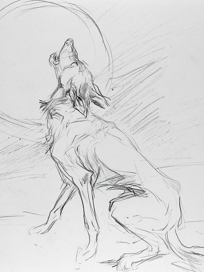 Howling Wolf Sketch Poster.