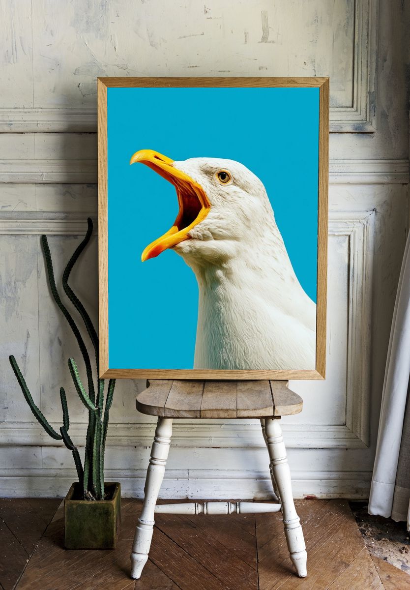 Seagull Portrait Photography Poster. — room view 1