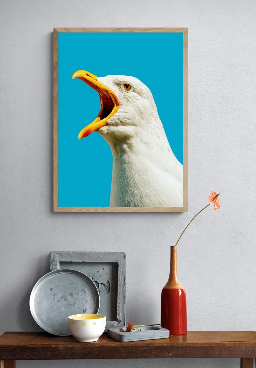 Seagull Portrait Photography Poster. — room view 3
