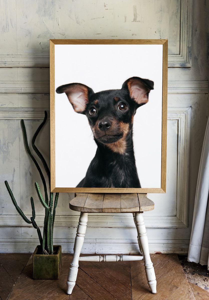Curious Puppy Portrait Print. room preview
