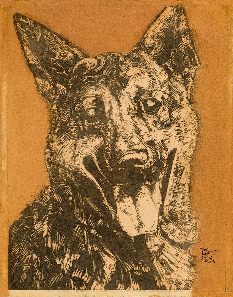 Cees, portret van een hond. poster — animals art