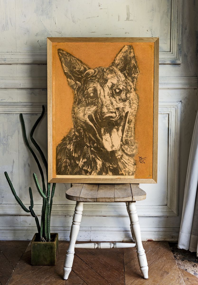 Cees, portret van een hond. room preview