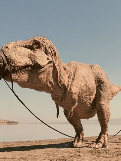 Tethered T-Rex Desert Photography Poster. poster
