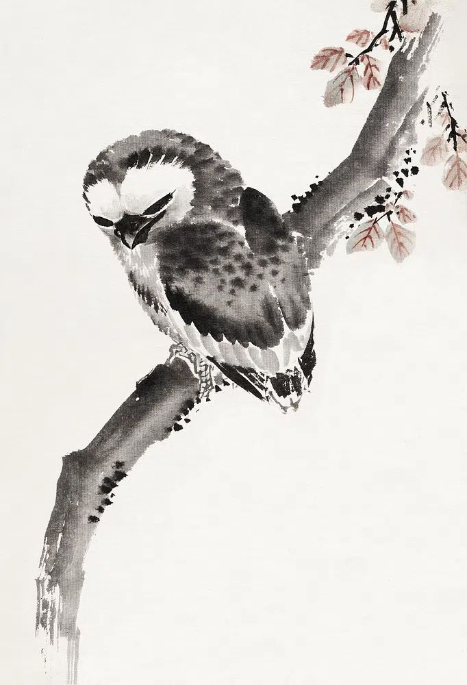 Katsushika Hokusai’s Japanese owl, Album. poster detail
