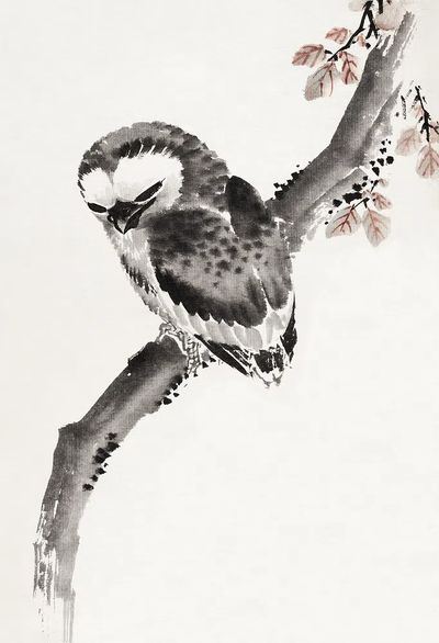 Katsushika Hokusai’s Japanese owl, Album.