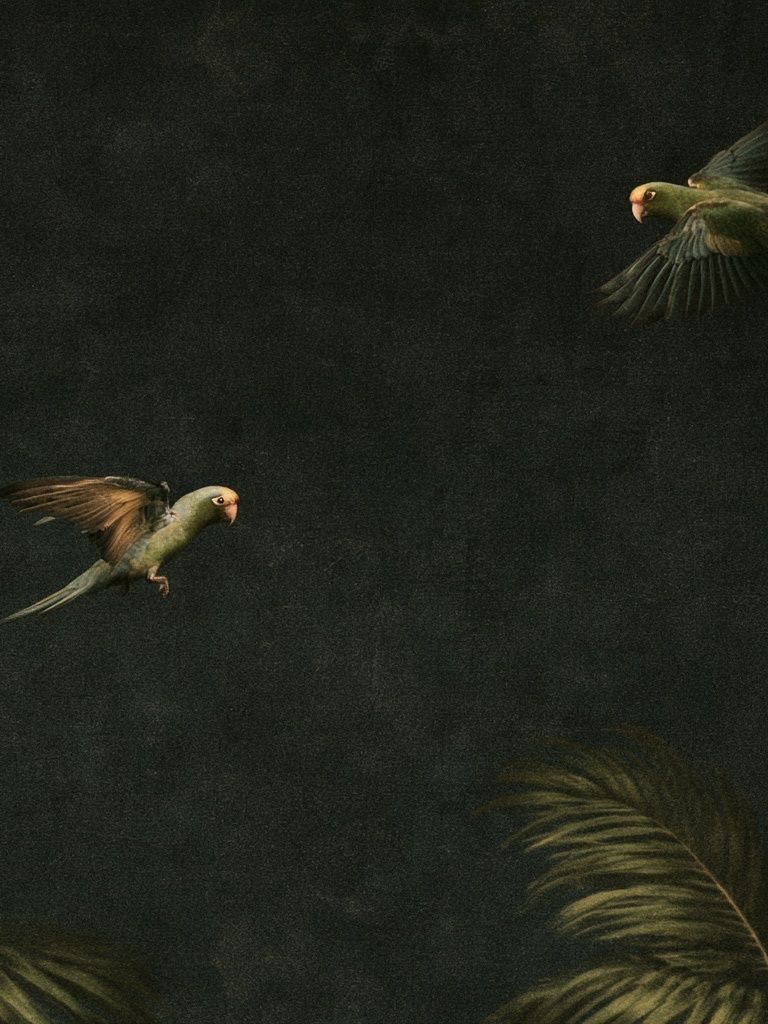 Tropical Parrots in Flight Poster. poster detail