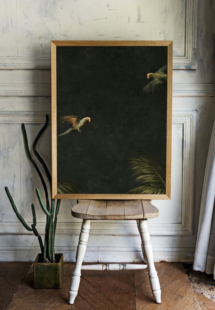 Tropical Parrots in Flight Poster. room preview