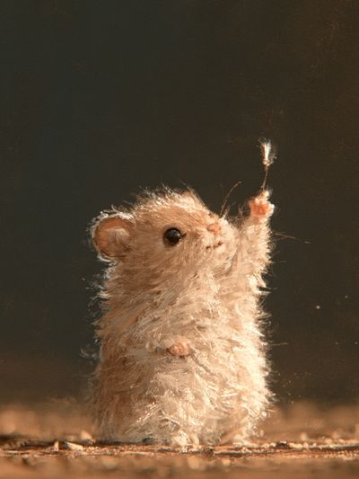 Curious Mouse Portrait Print.