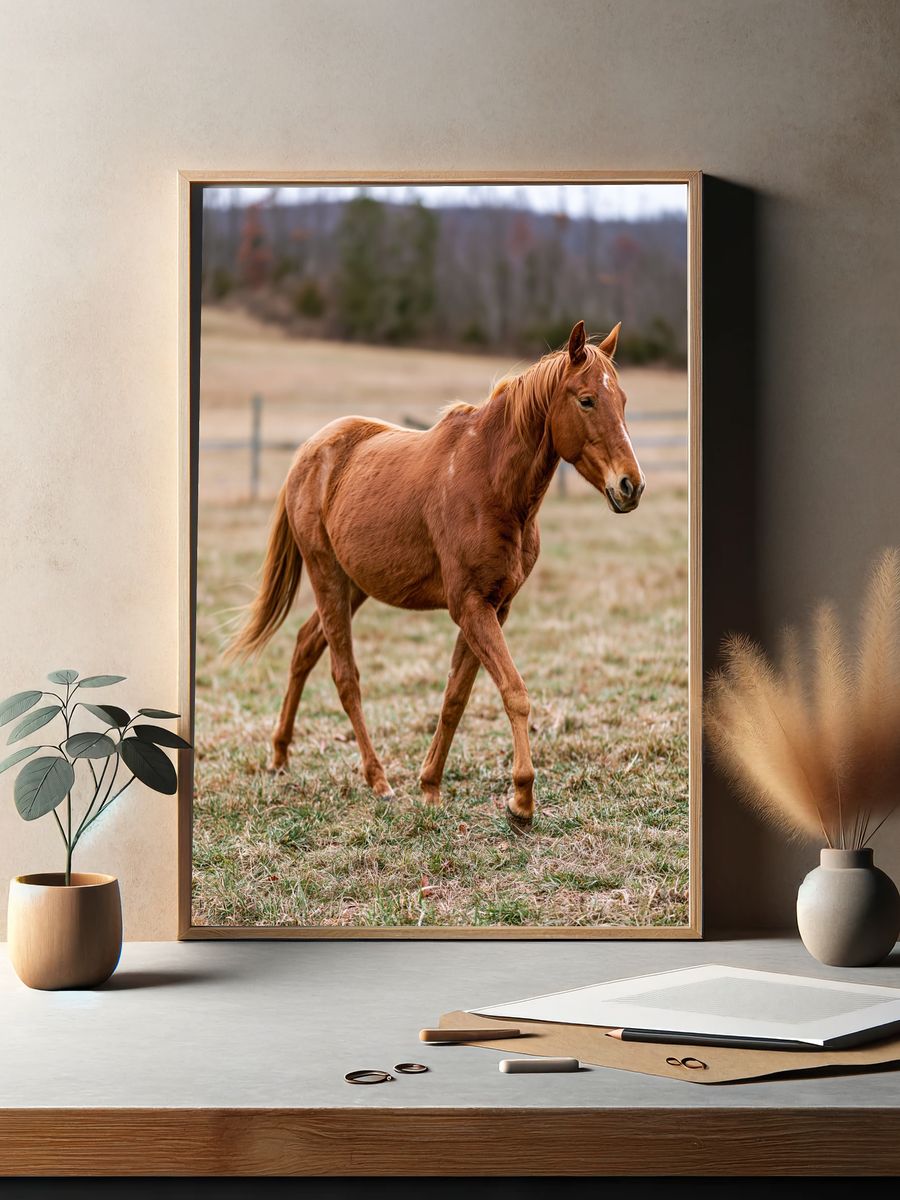 Chestnut Horse Photography Poster. — room view 2