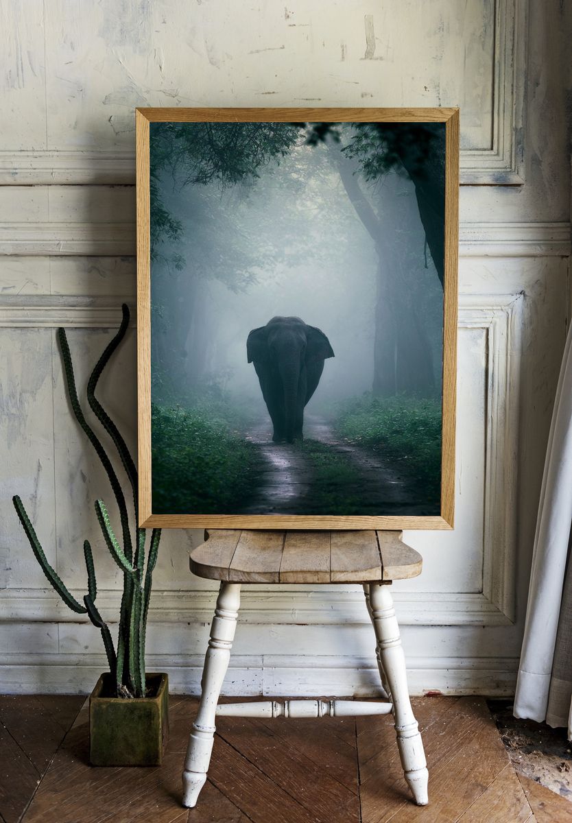 Misty Elephant Forest Poster. room preview