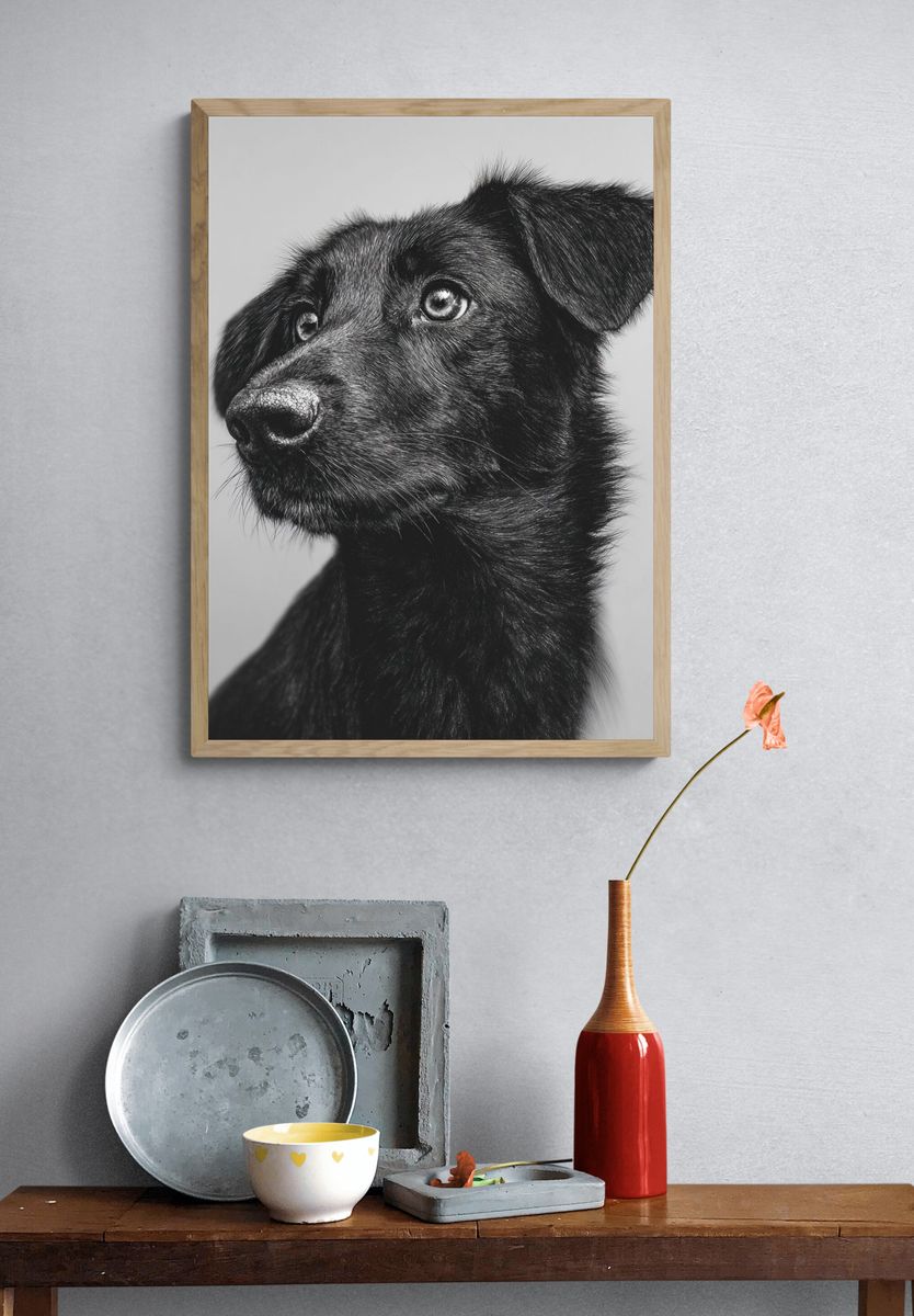 Black Dog Portrait Print. — room view 3