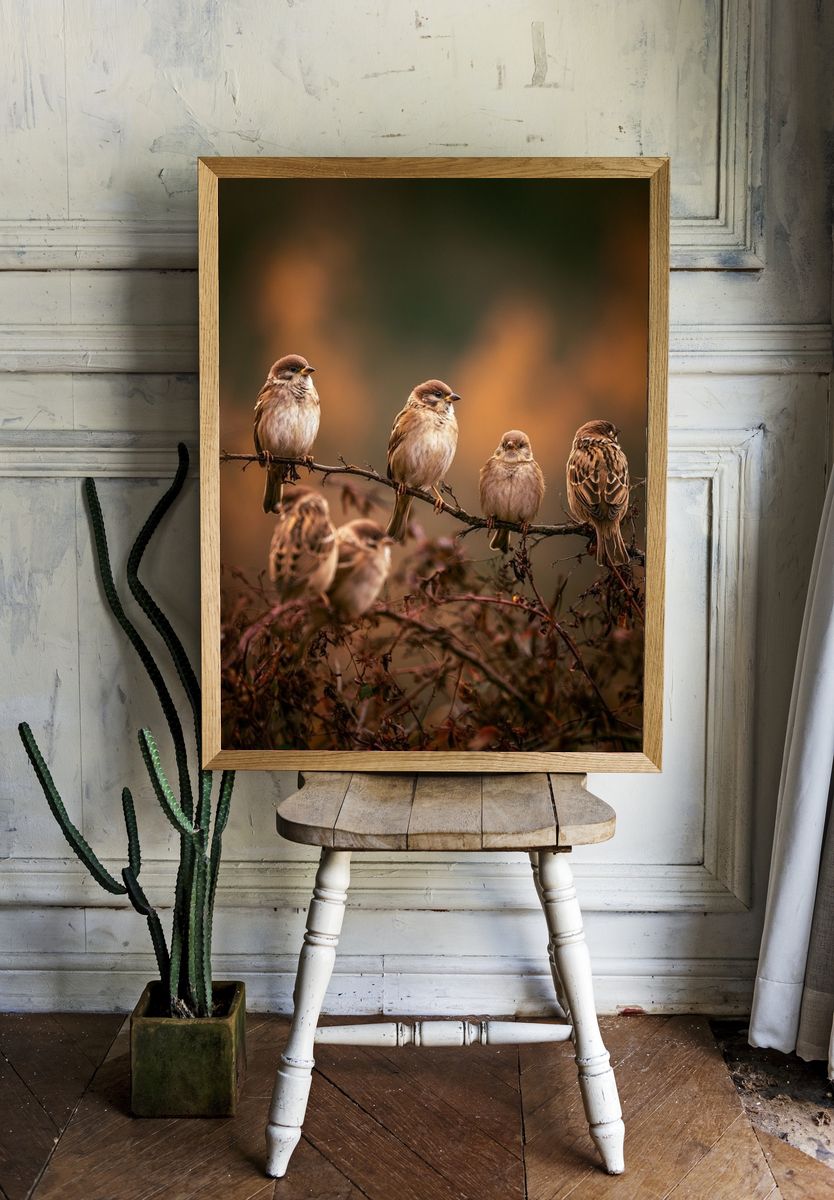Sparrows on Branch Photography Poster. room preview