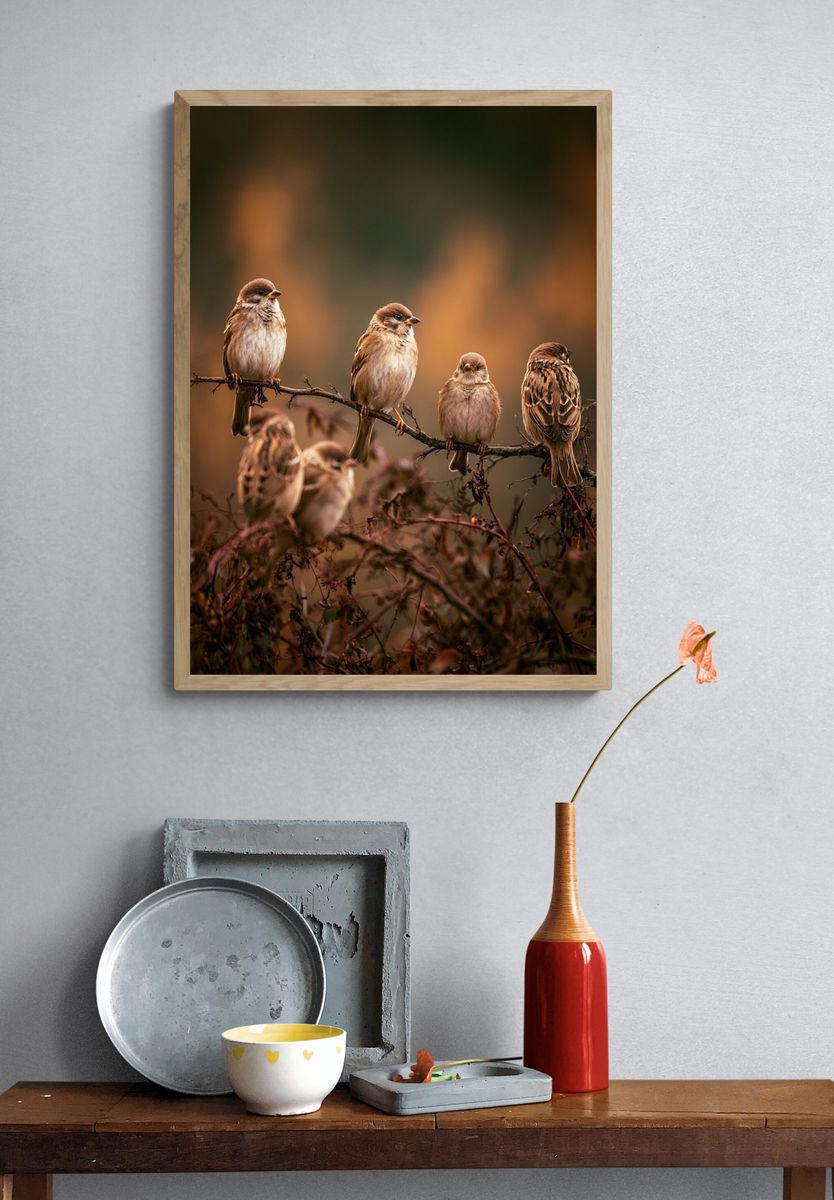 Sparrows on Branch Photography Poster. — room view 3