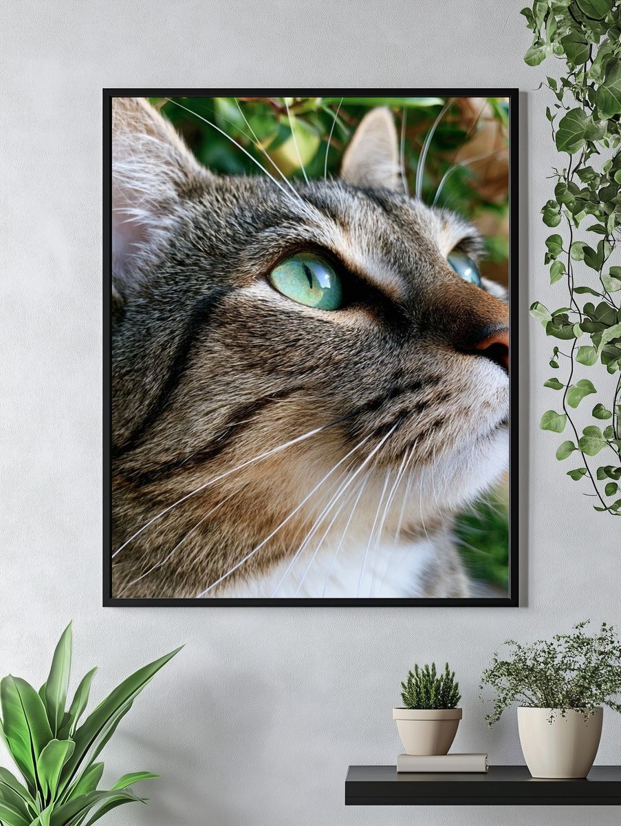 Tabby Cat Portrait Photography Poster. — room view 4
