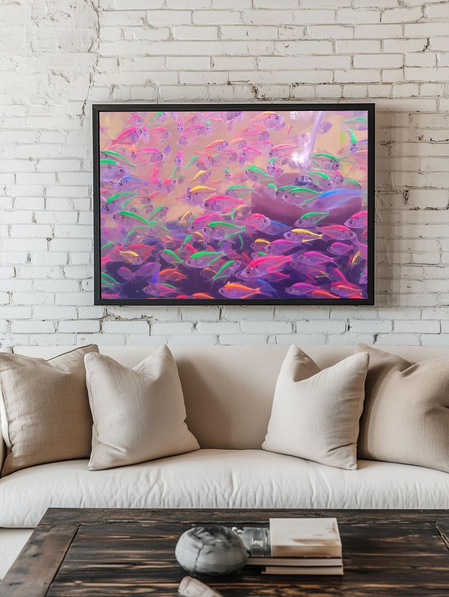 Colorful neon glowing fishes. Free. — room view 1