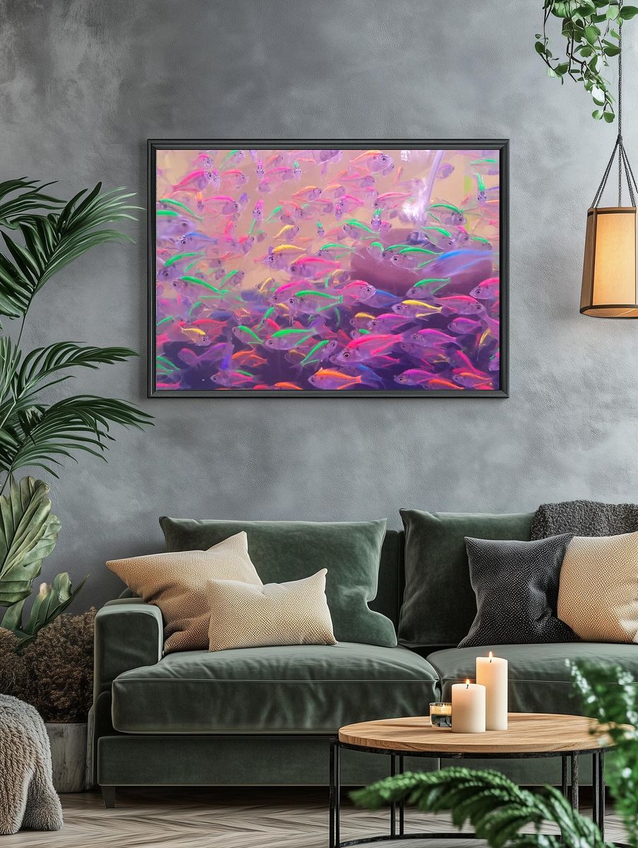 Colorful neon glowing fishes. Free. — room view 4