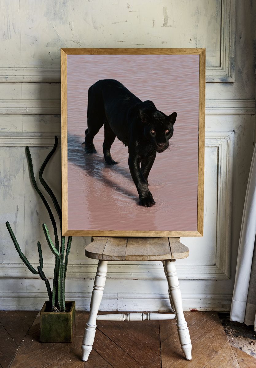 Black Panther in Water Poster. room preview