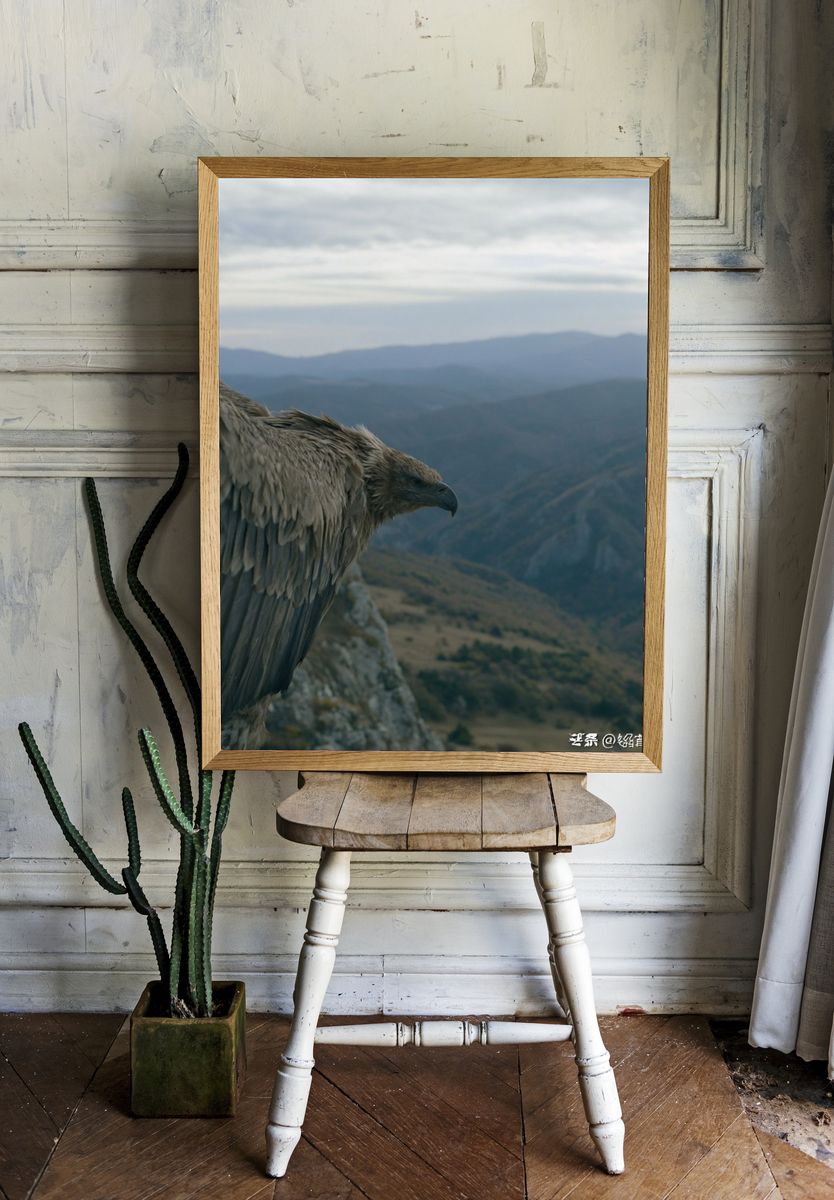 Eagle Over Mountain Valley Poster. room preview
