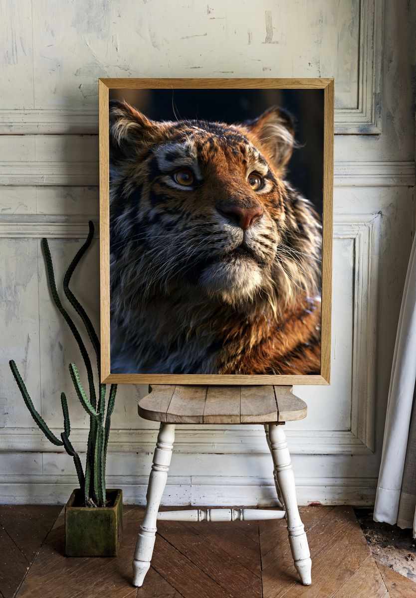 Tiger Cub Portrait Poster. room preview