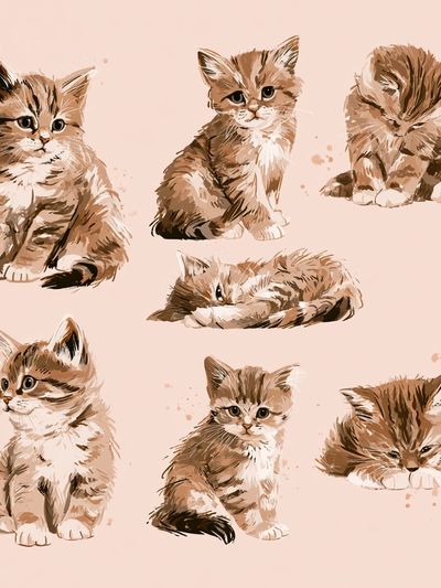 Playful Kitten Study Illustration Poster. poster