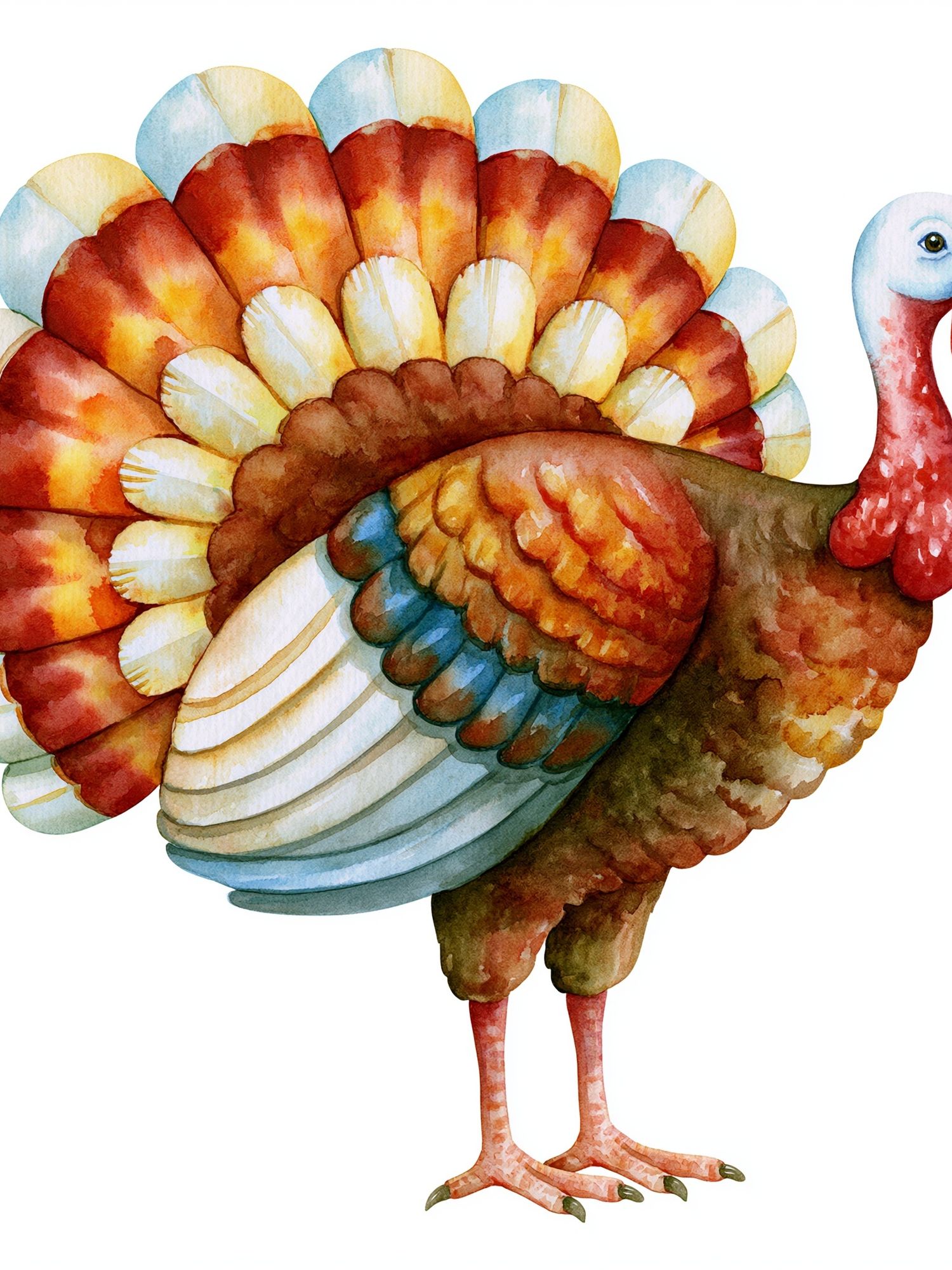 Watercolor Turkey Illustration Poster. poster detail