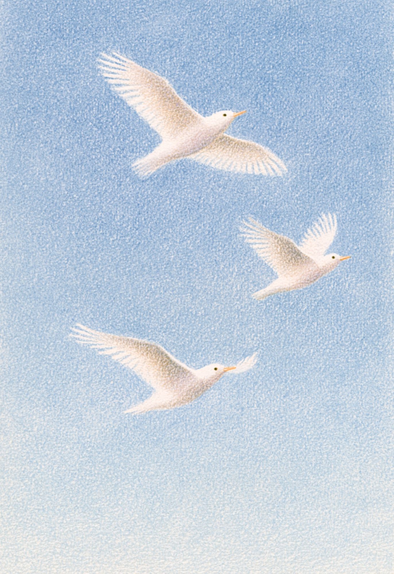 White Birds in Blue Sky Print. poster detail