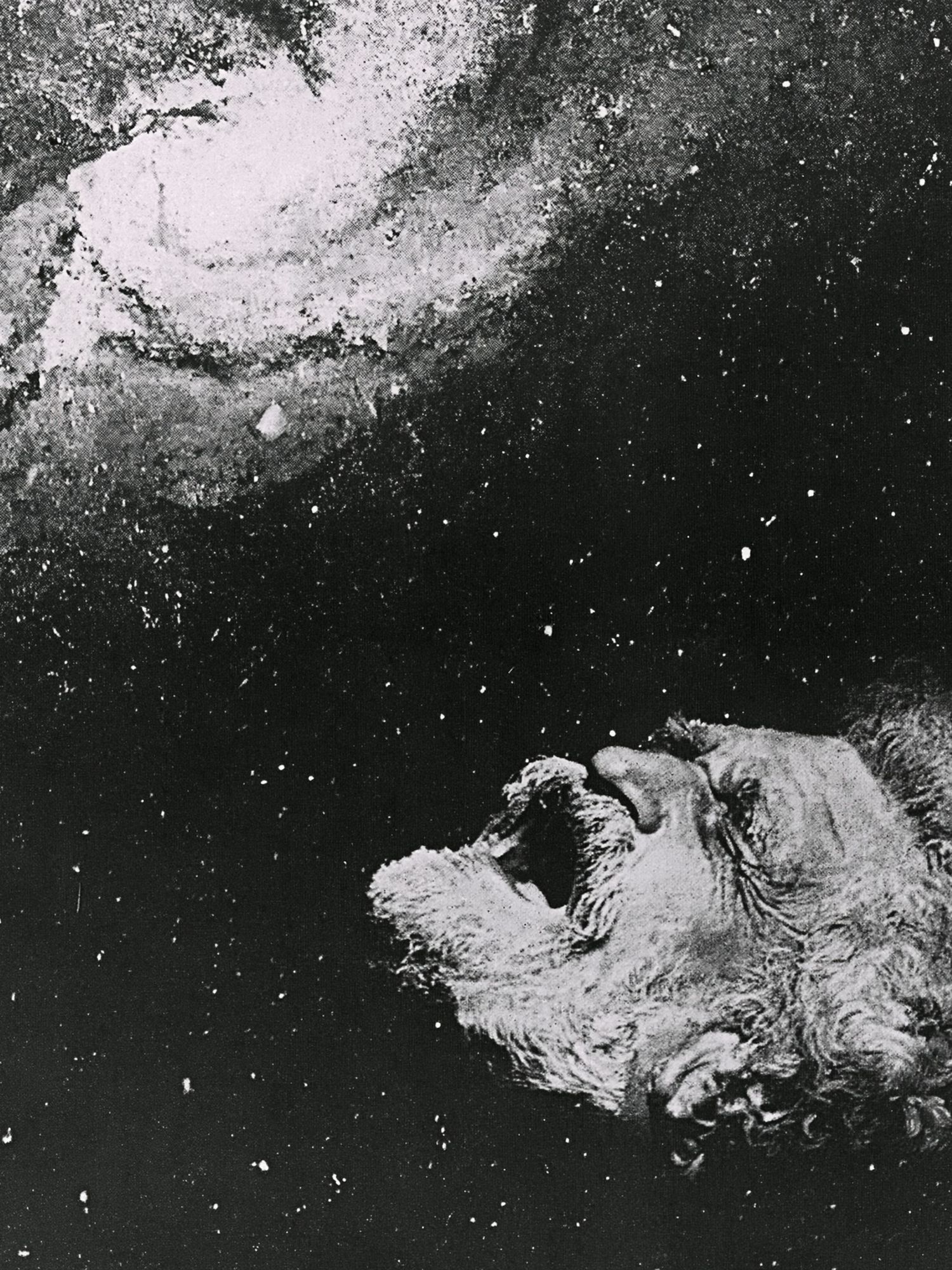 Howling Dog Black-White Poster. poster detail