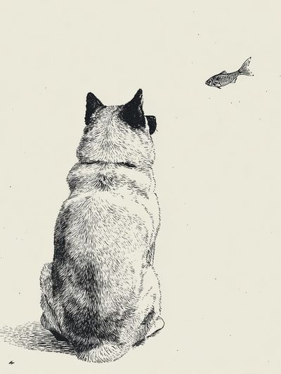 Cat and Fish Ink Illustration Poster.
