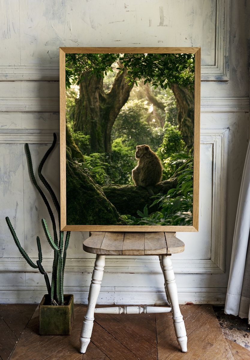 Misty Jungle Monkey Poster. room preview