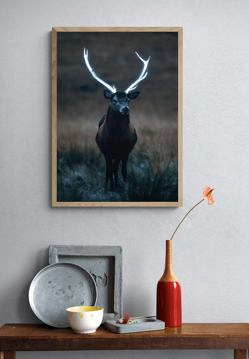 Wild deer beautiful large antlers. — room view 3