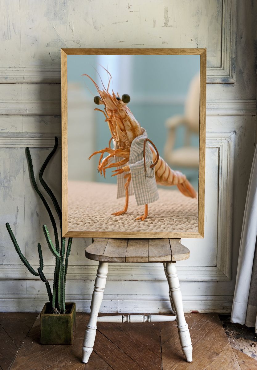Shrimp in Lab Coat Photography Poster. room preview