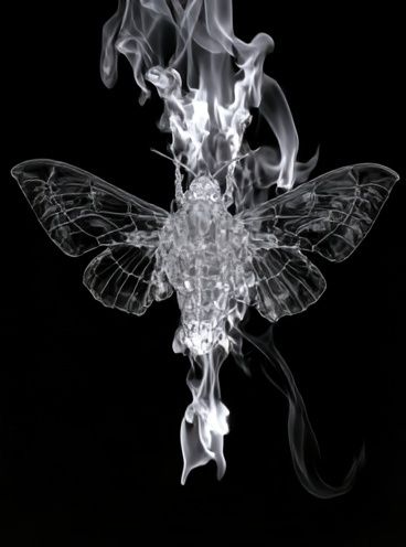 Burning Moth Black-White Poster. poster detail