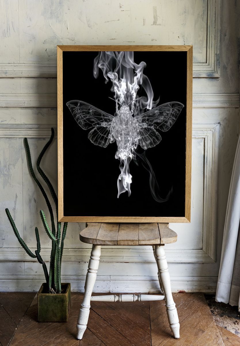 Burning Moth Black-White Poster. — room view 1