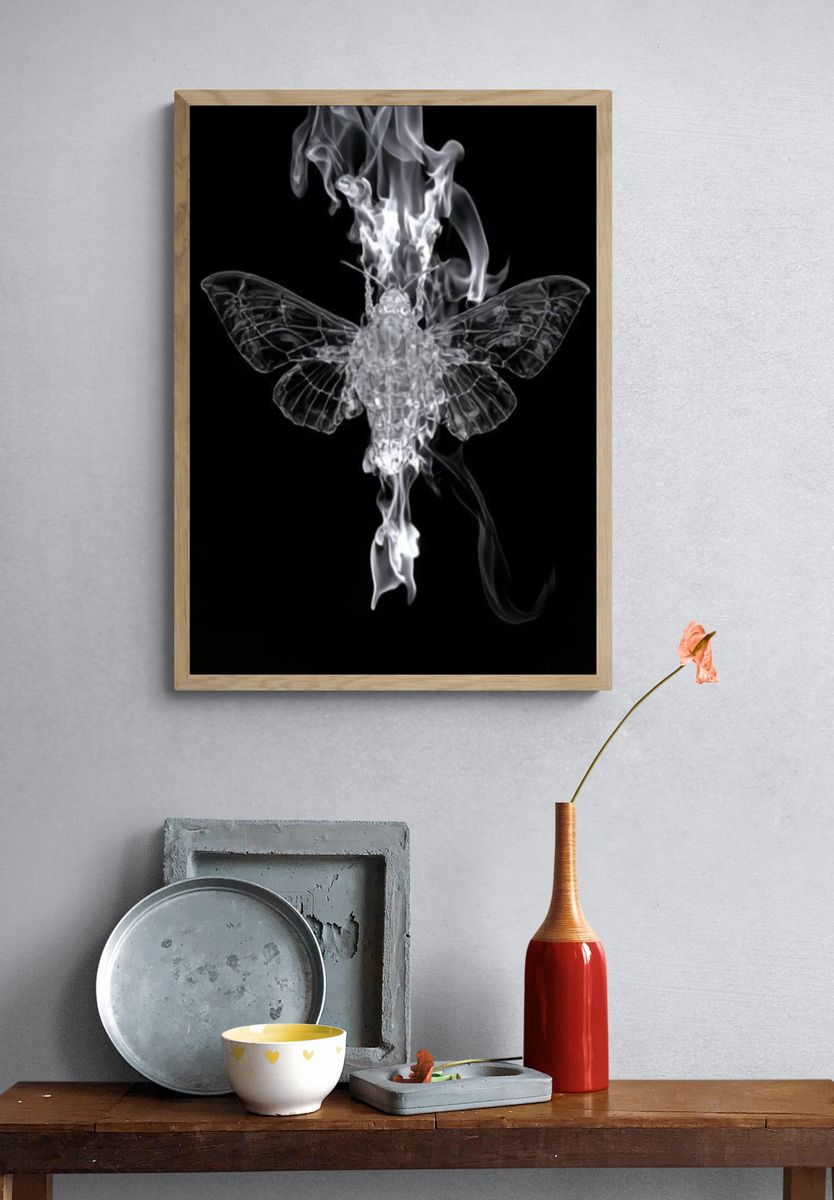 Burning Moth Black-White Poster. — room view 3