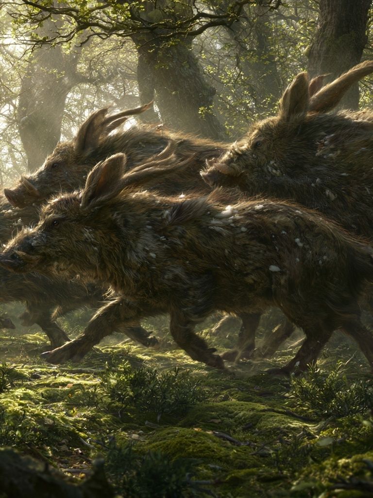 Wild Boar Run Forest Illustration Poster. poster — animals art