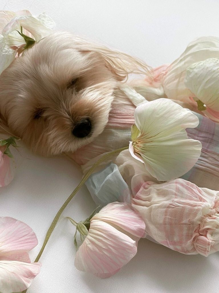 Floral Puppy Portrait Print. poster detail