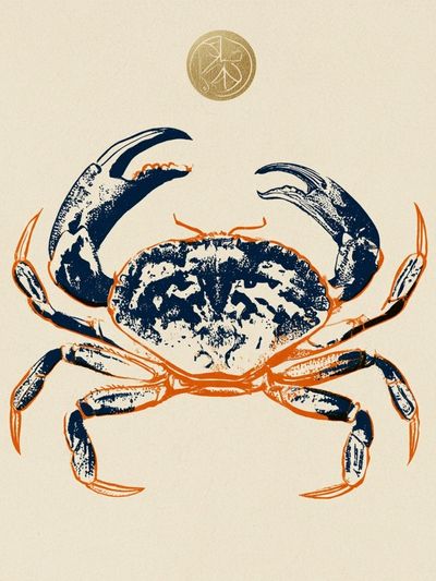 Blue Crab Ink Illustration Poster.