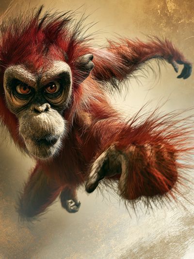 Red Orangutan Jungle Illustration Poster.