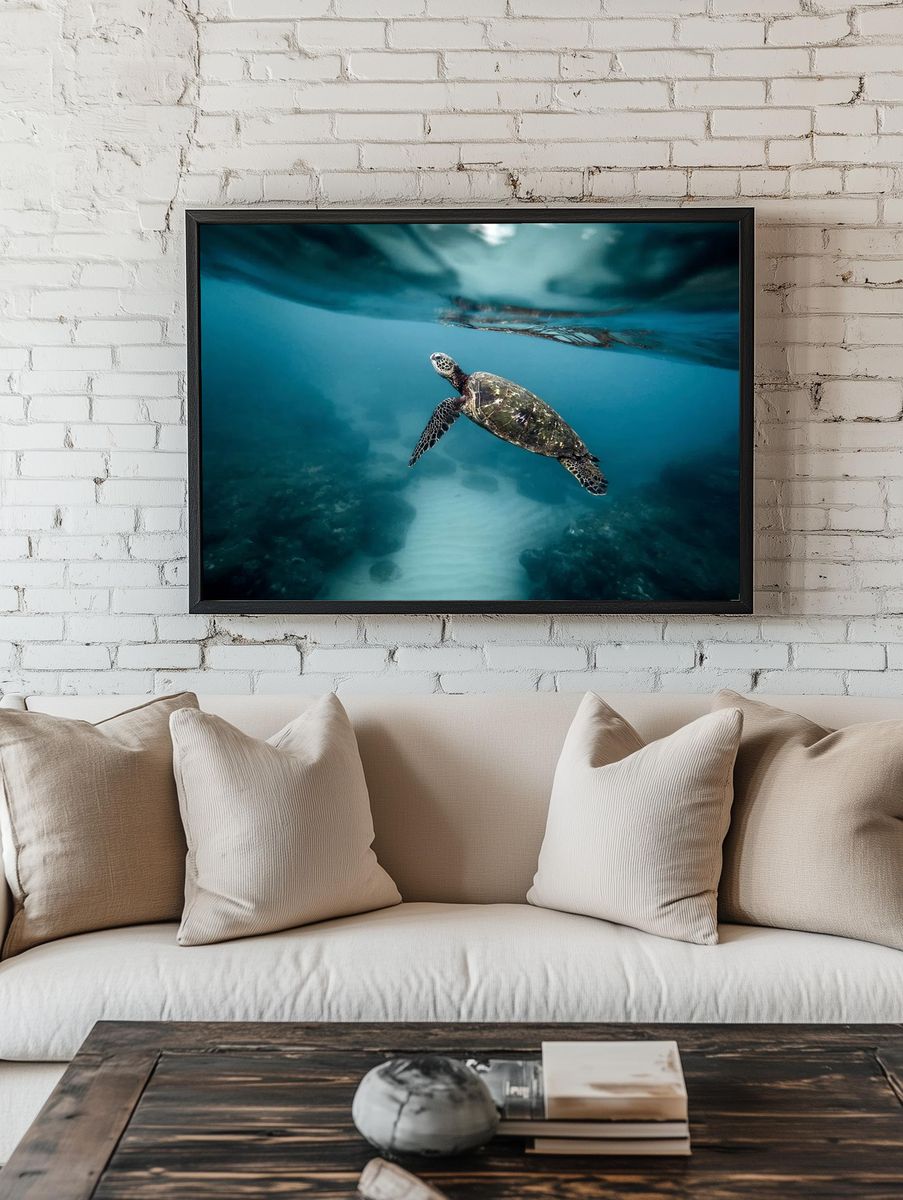 Sea turtle swimming ocean. Original. room preview