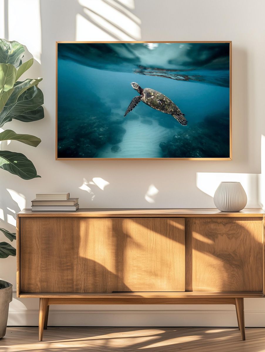 Sea turtle swimming ocean. Original. — room view 3