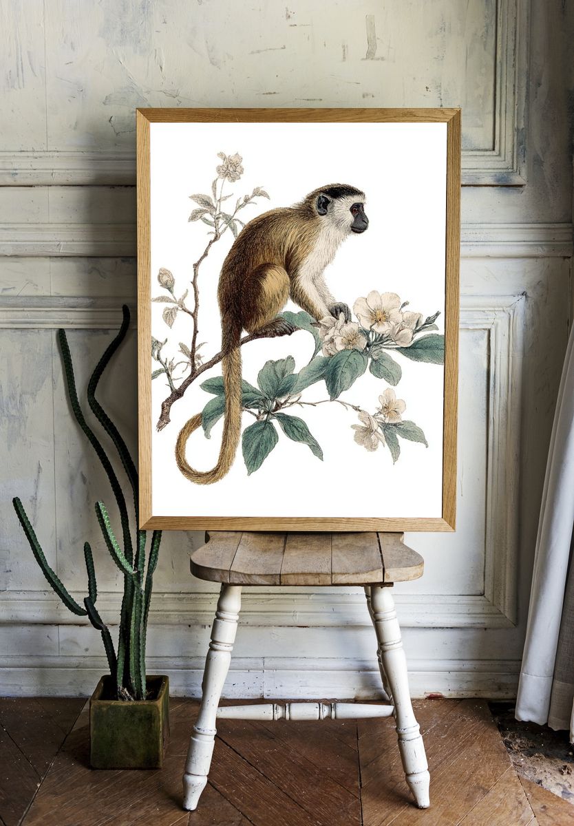 Monkey Botanical Illustration Poster. room preview