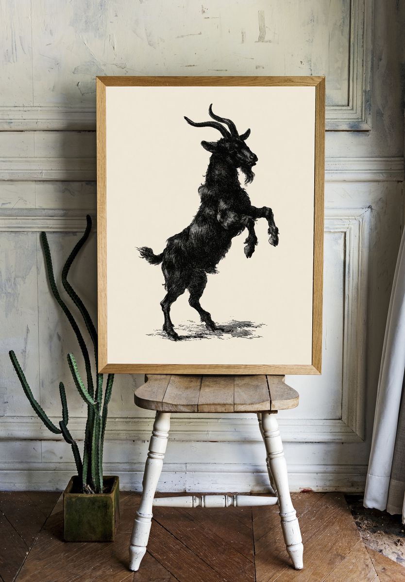Rearing Goat Ink Illustration Poster. room preview