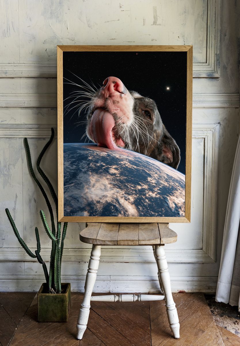 Cosmic Dog Portrait Print. room preview