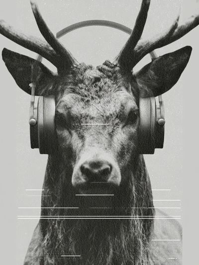 Headphone Deer Photography Poster.
