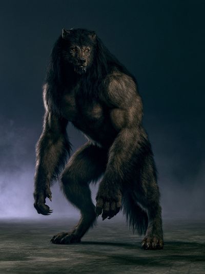 Werewolf Portrait Photography Poster.