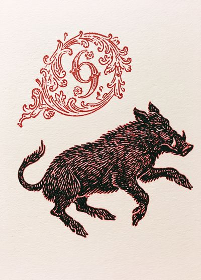 Boar Ornamental Ink Print.